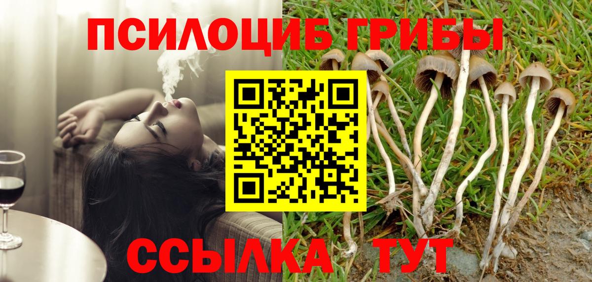 Галлюциногенные грибы Psilocybe  Вход с VPN  наркошоп  Котовск 